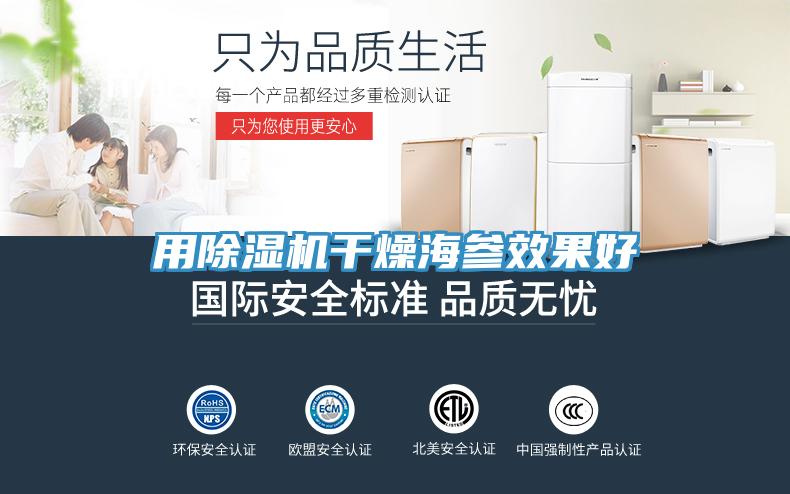用91免费网站在线观看干燥海参效果好