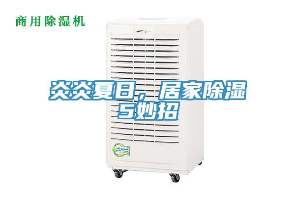 炎炎夏日，居家除湿5妙招