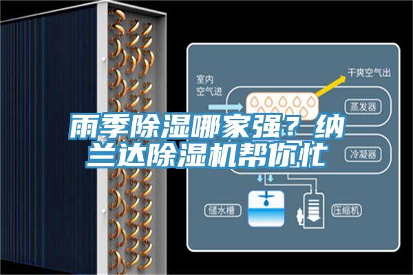 雨季除湿哪家强？纳兰达91免费网站在线观看帮你忙