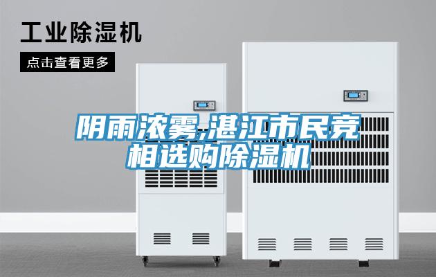 阴雨浓雾,湛江市民竞相选购91免费网站在线观看