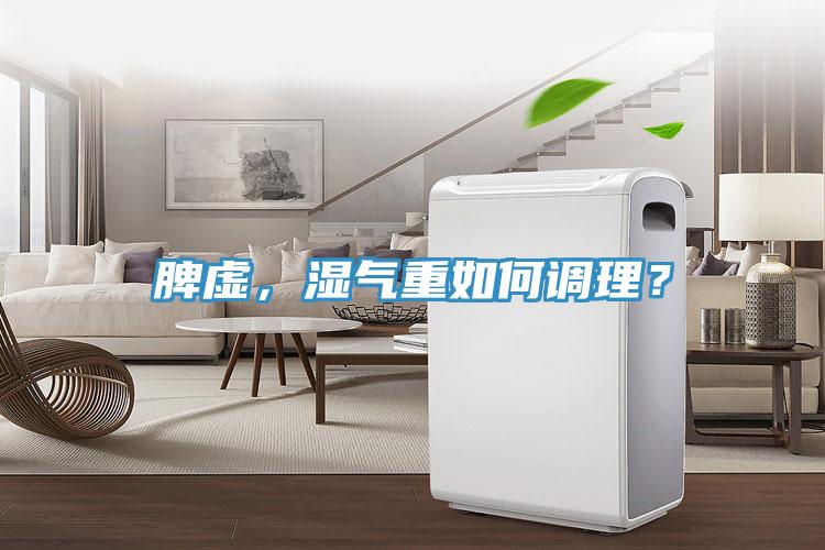 脾虚，湿气重如何调理？