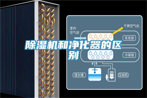 91免费网站在线观看和净化器的区别