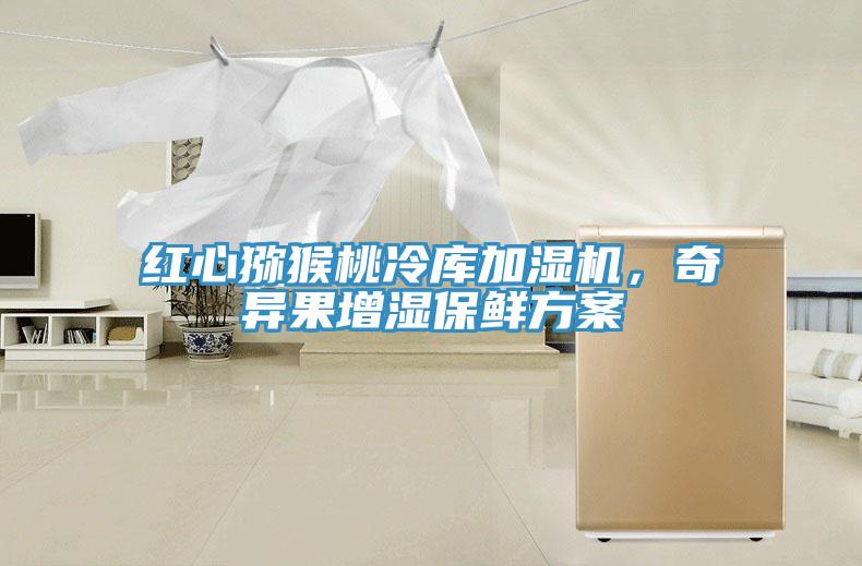 红心猕猴桃冷库加湿机，奇异果增湿保鲜方案