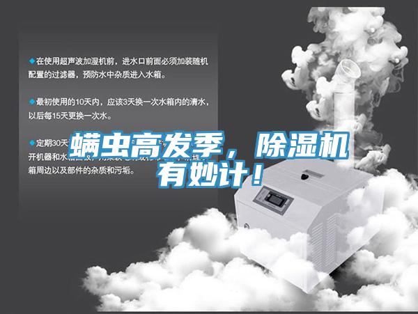 螨虫高发季，91免费网站在线观看有妙计！