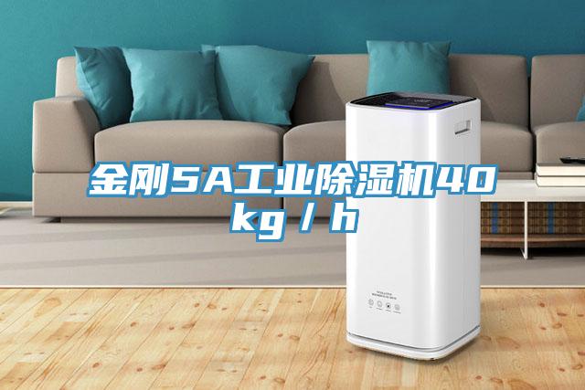 金刚5A工业91免费网站在线观看40kg／h