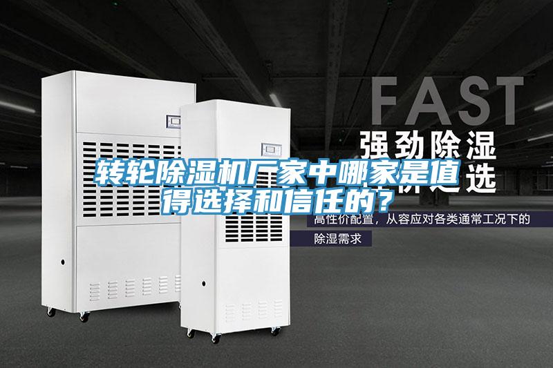 转轮91免费网站在线观看厂家中哪家是值得选择和信任的？