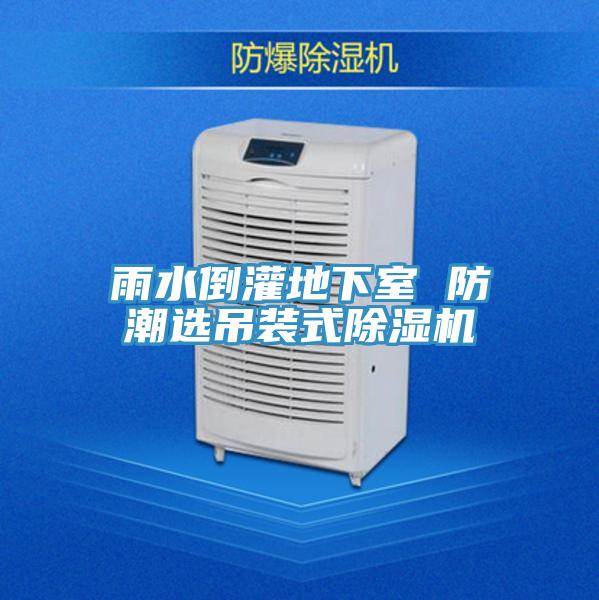 雨水倒灌地下室 防潮选吊装式91免费网站在线观看