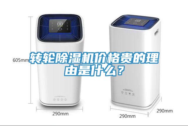 转轮91免费网站在线观看价格贵的理由是什么？