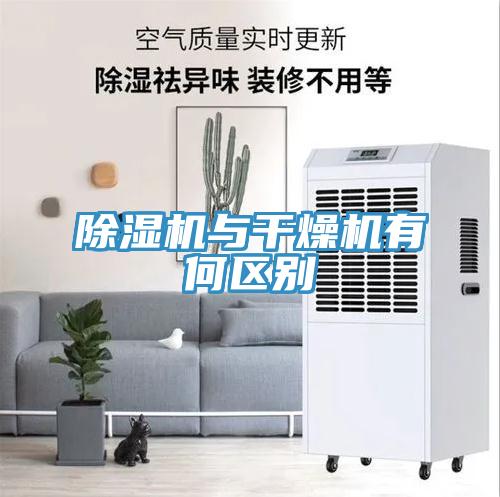 91免费网站在线观看与干燥机有何区别