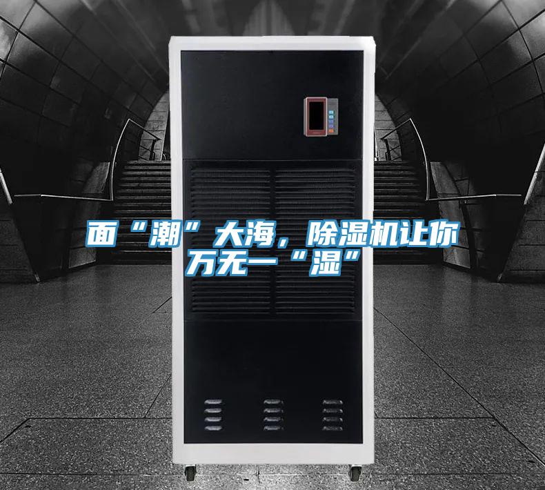 面“潮”大海，91免费网站在线观看让你万无一“湿”