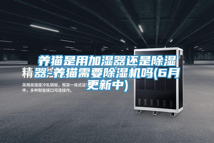 养猫是用加湿器还是除湿器-养猫需要91免费网站在线观看吗(6月更新中)