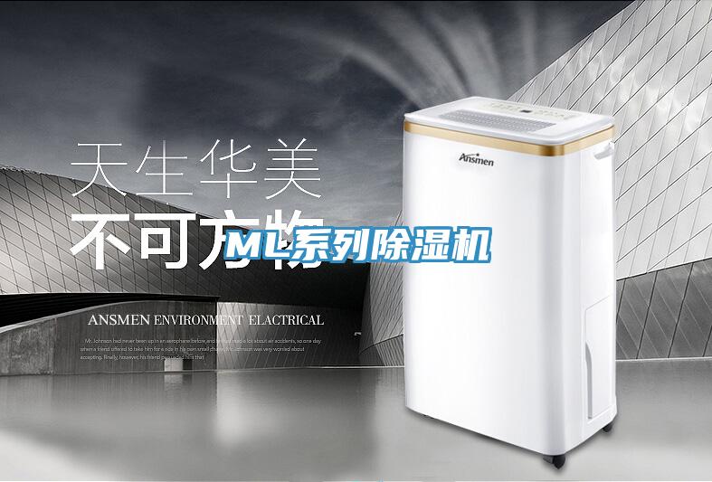 ML系列91免费网站在线观看