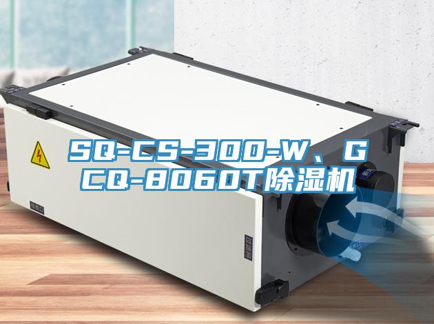 SQ-CS-300-W、GCQ-8060T91免费网站在线观看