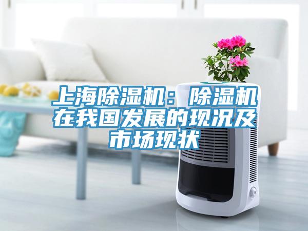 上海91免费网站在线观看：91免费网站在线观看在我国发展的现况及市场现状