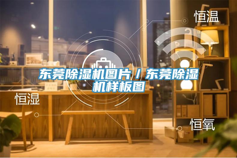 东莞91免费网站在线观看图片／东莞91免费网站在线观看样板图