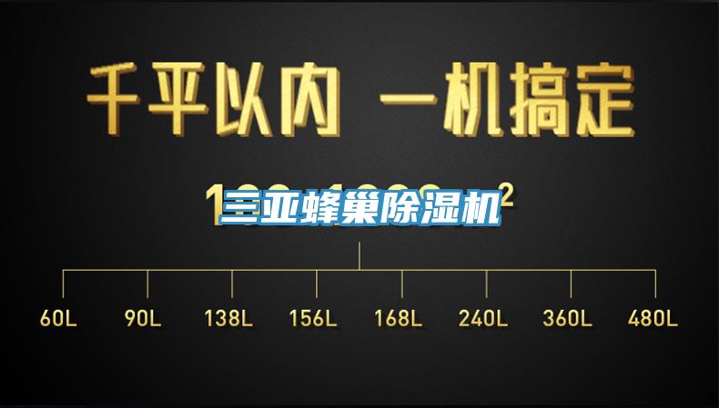三亚蜂巢91免费网站在线观看