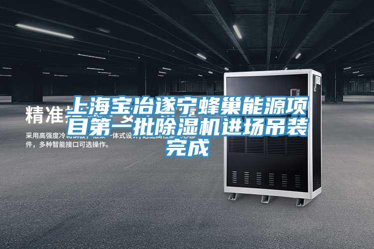 上海宝冶遂宁蜂巢能源项目第一批91免费网站在线观看进场吊装完成