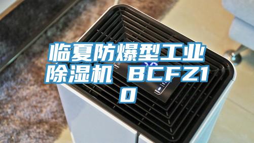临夏防爆型工业91免费网站在线观看 BCFZ10