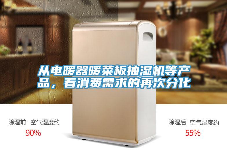 从电暖器暖菜板抽湿机等产品，看消费需求的再次分化