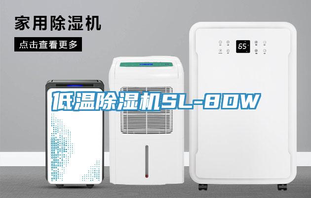 低温91免费网站在线观看SL-8DW