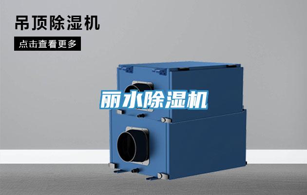 丽水91免费网站在线观看