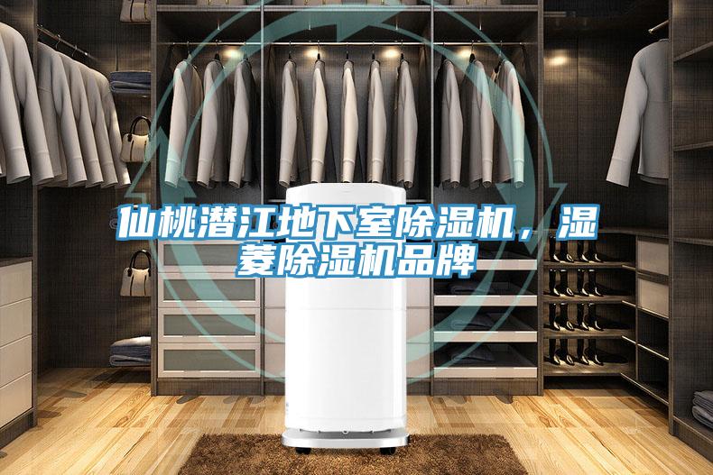仙桃潜江地下室91免费网站在线观看，湿菱91免费网站在线观看品牌