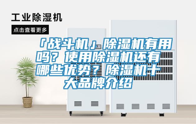 「战斗机」91免费网站在线观看有用吗？使用91免费网站在线观看还有哪些优势？91免费网站在线观看十大品牌介绍