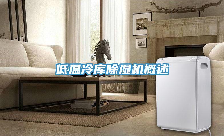 低温冷库91免费网站在线观看概述