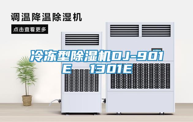 冷冻型91免费网站在线观看DJ-901E  1301E