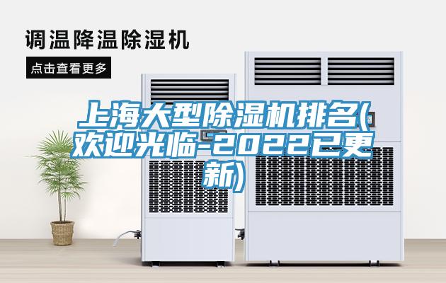 上海大型91免费网站在线观看排名(欢迎光临-2022已更新)