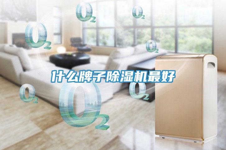 什么牌子91免费网站在线观看最好