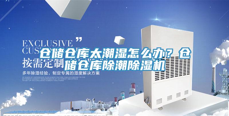 仓储仓库太潮湿怎么办？仓储仓库除潮91免费网站在线观看