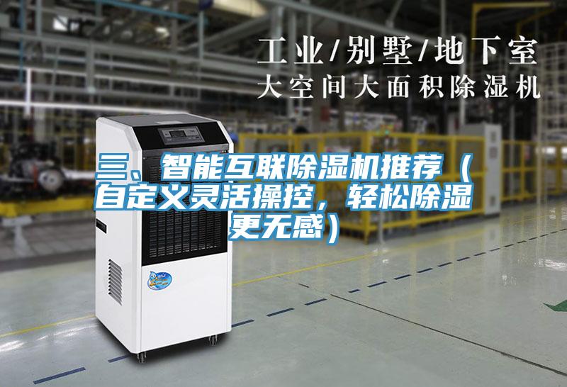 三、智能互联91免费网站在线观看推荐（自定义灵活操控，轻松除湿更无感）