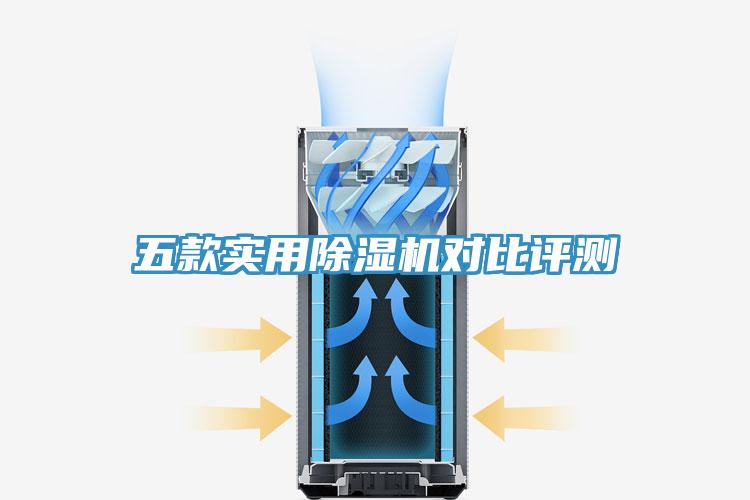 五款实用91免费网站在线观看对比评测