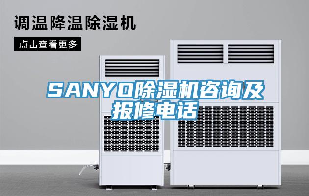 SANYO91免费网站在线观看咨询及报修电话