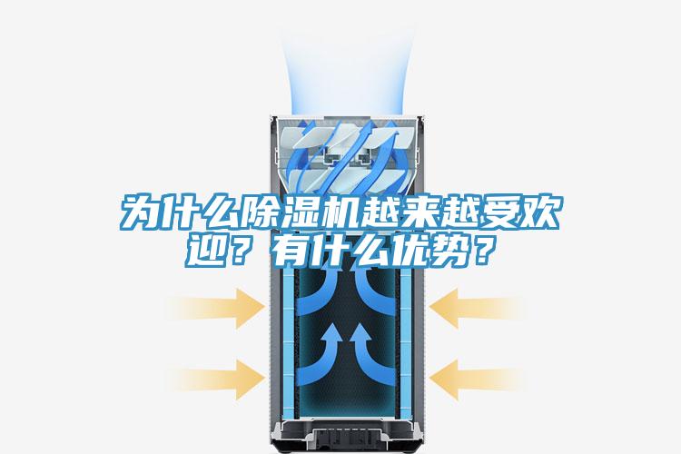 为什么91免费网站在线观看越来越受欢迎？有什么优势？