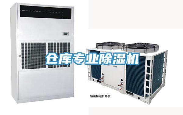 仓库专业91免费网站在线观看