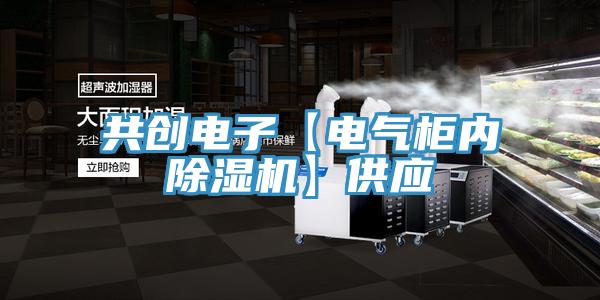 共创电子【电气柜内91免费网站在线观看】供应