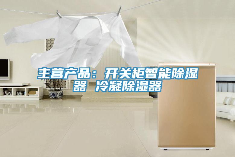 主营产品：开关柜智能除湿器 冷凝除湿器