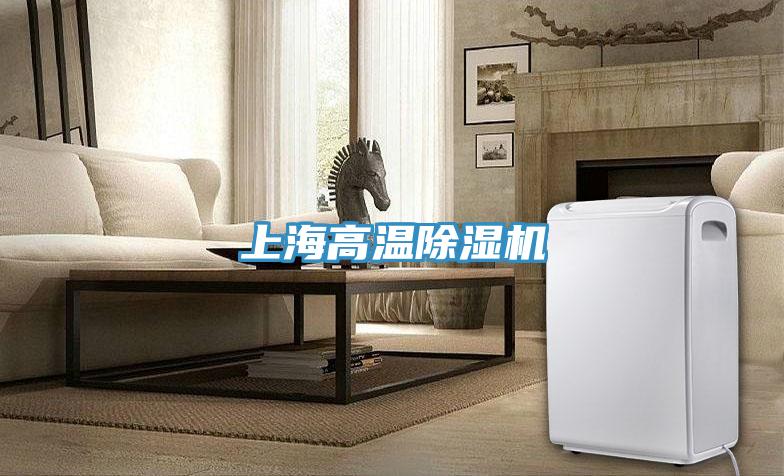 上海高温91免费网站在线观看