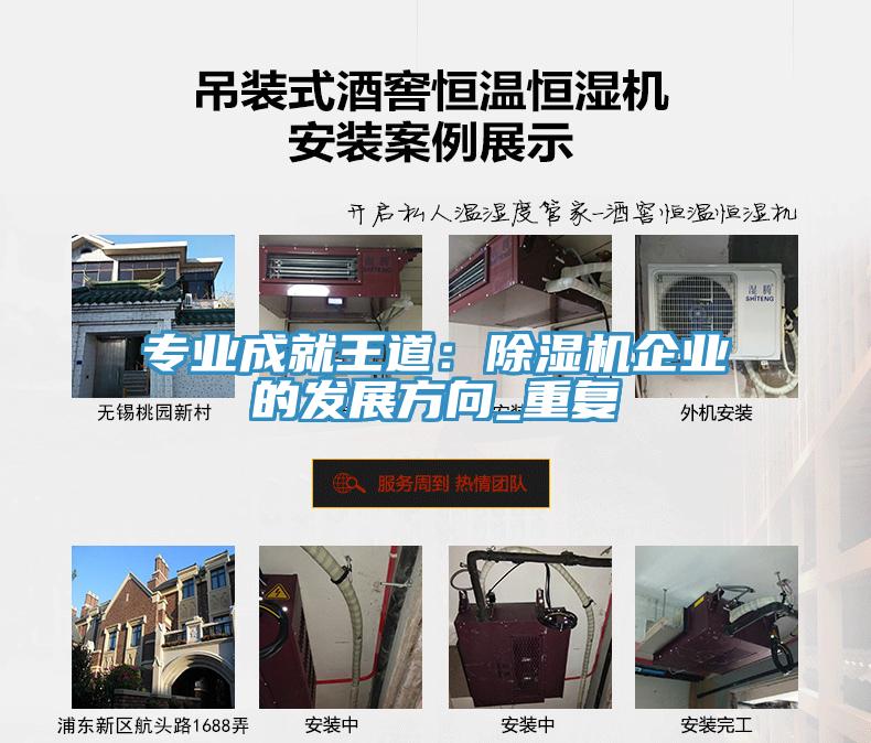 专业成就王道：91免费网站在线观看企业的发展方向_重复