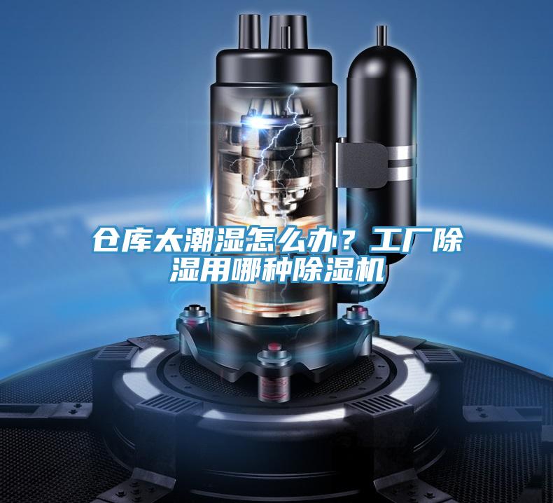 仓库太潮湿怎么办？工厂除湿用哪种91免费网站在线观看