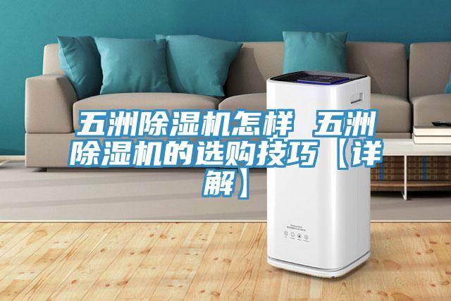 五洲91免费网站在线观看怎样 五洲91免费网站在线观看的选购技巧【详解】