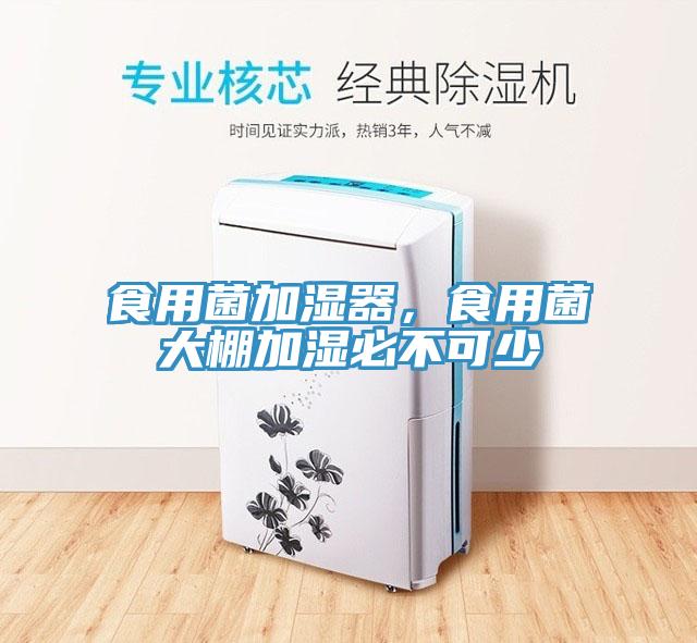 食用菌加湿器，食用菌大棚加湿必不可少