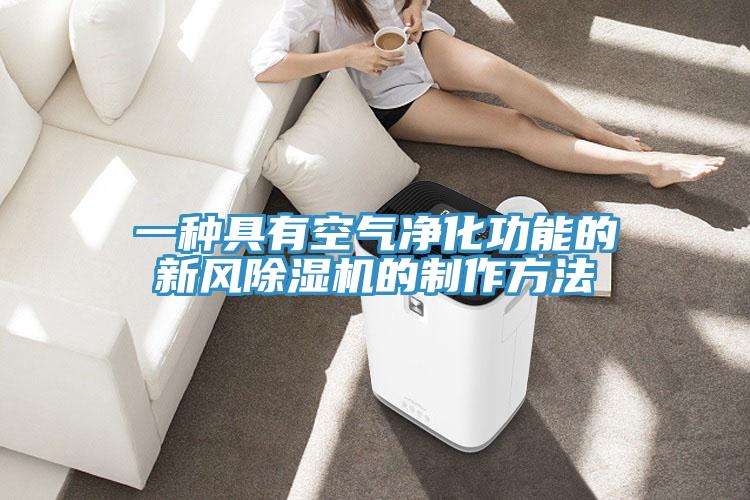 一种具有空气净化功能的新风91免费网站在线观看的制作方法