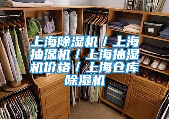 上海91免费网站在线观看／上海抽湿机／上海抽湿机价格／上海仓库91免费网站在线观看