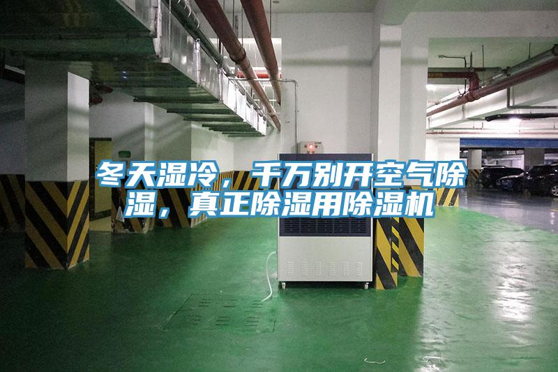 冬天湿冷，千万别开空气除湿，真正除湿用91免费网站在线观看