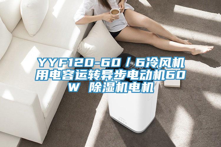 YYF120-60／6冷风机用电容运转异步电动机60W 91免费网站在线观看电机