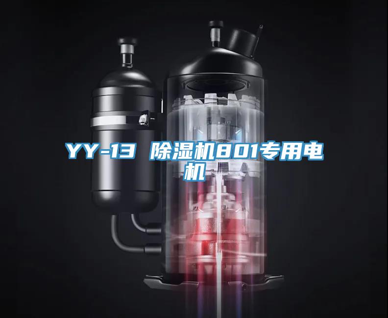 YY-13 91免费网站在线观看801专用电机