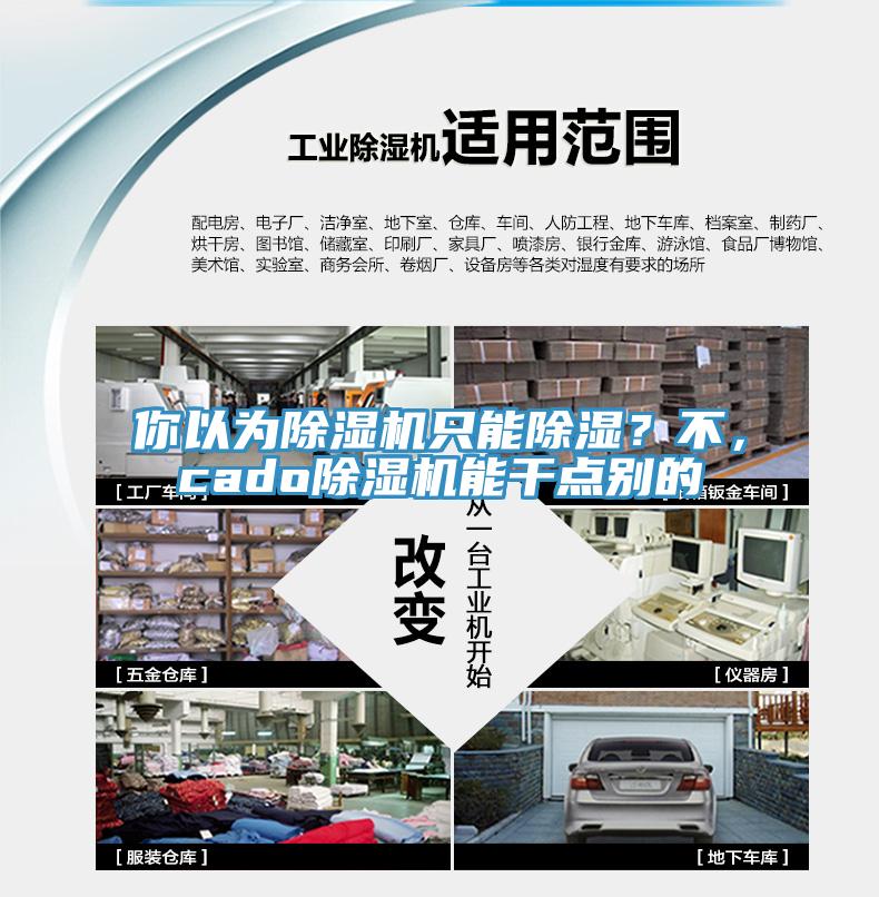 你以为91免费网站在线观看只能除湿？不，cado91免费网站在线观看能干点别的